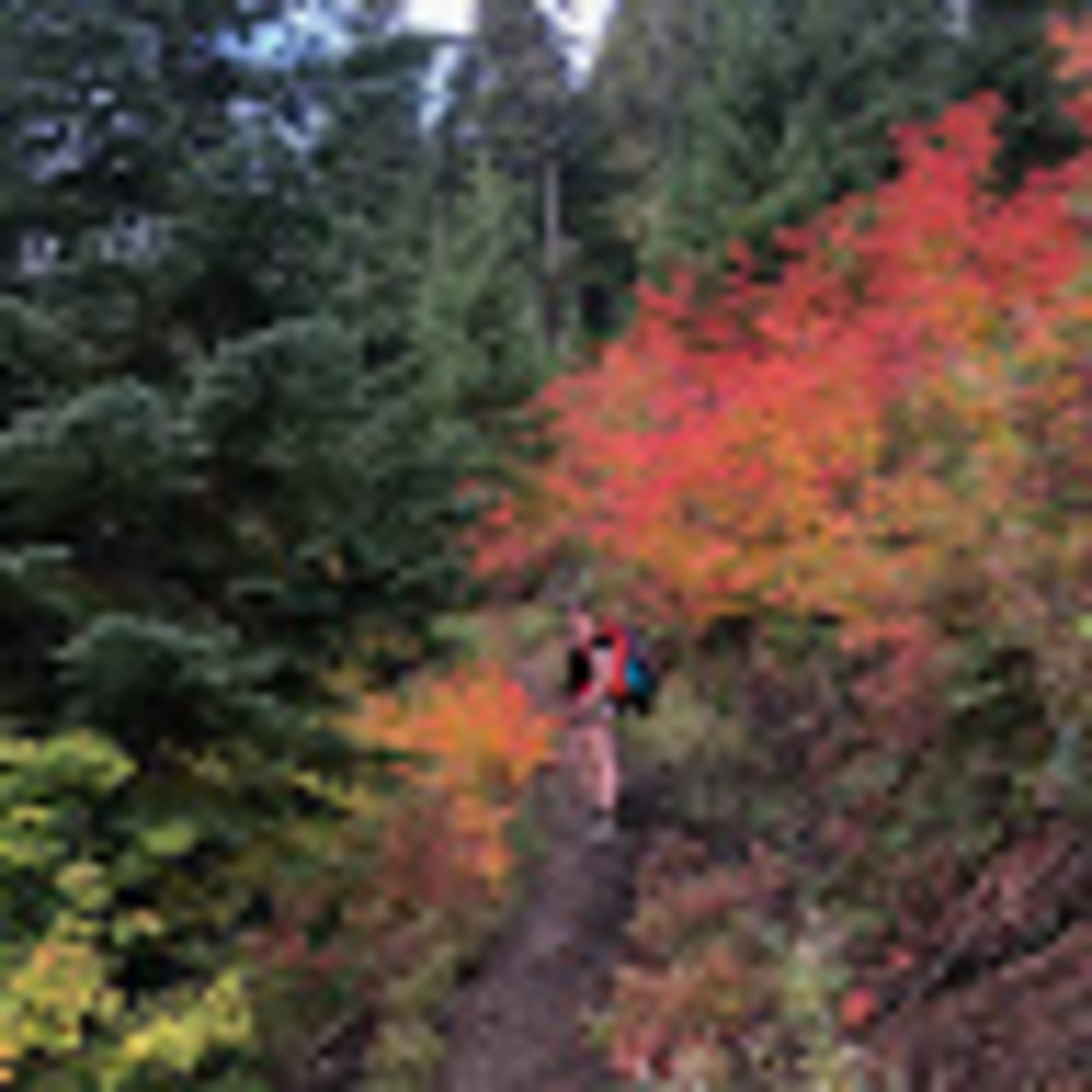 Meet your Posher, Ingrid